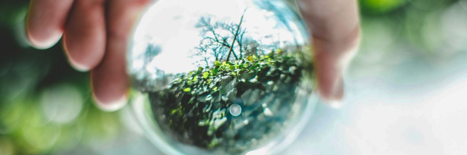 Sostenibilità d’Impresa: Un Vantaggio&nbsp;Strategico.